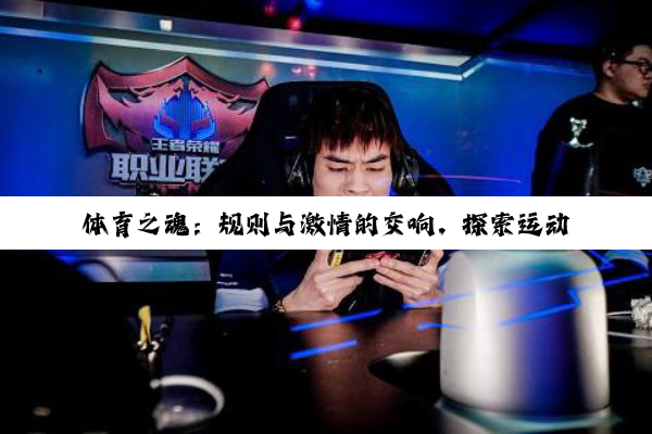 体育之魂：规则与激情的交响，探索运动的无尽魅力