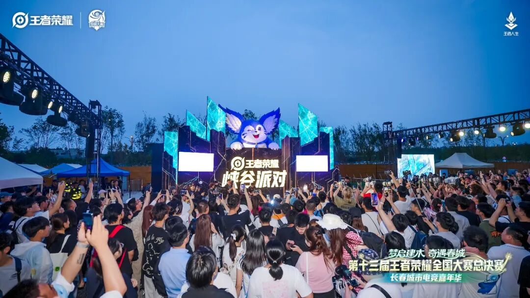 （观众为王者荣耀